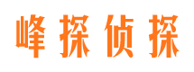 登封侦探